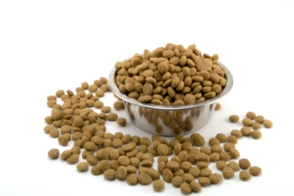 Dry Dog Food