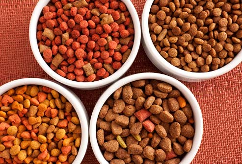 Types of Dog Food