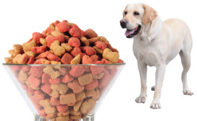 Dry Dog Food To Labrador Retriever