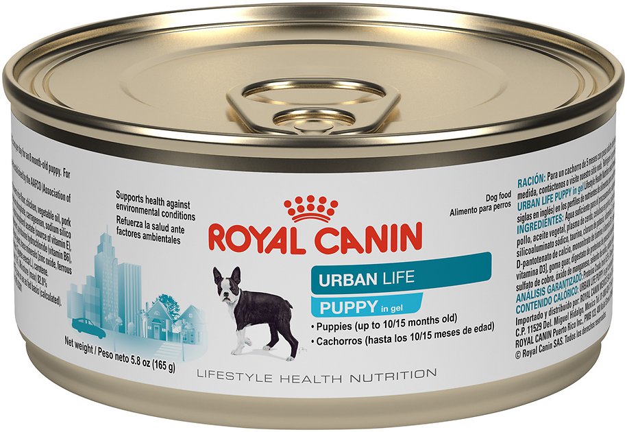 Royal Canin Urban Life Puppy Canned Dog Food, 5.8-oz, case of 24