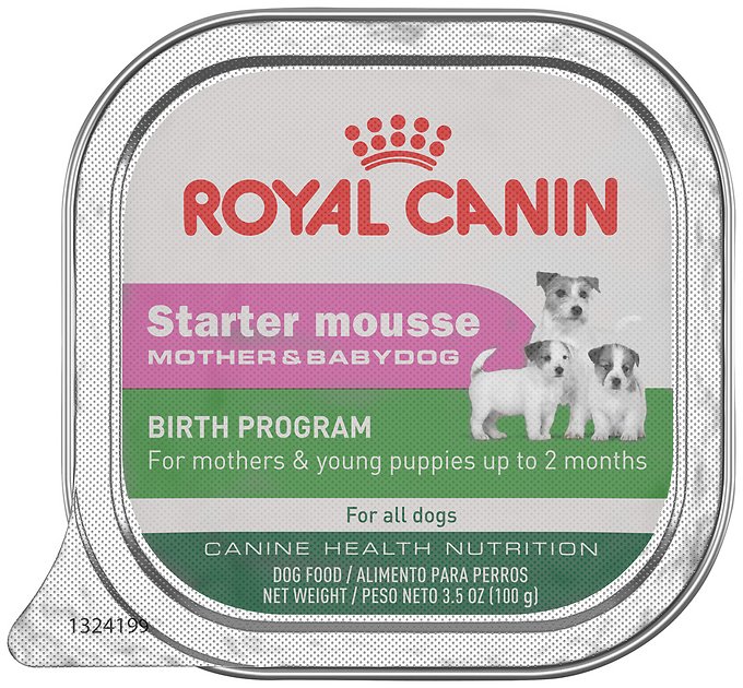 Royal Canin Starter Mousse Mother & Babydog Birth Program Dog Food Trays, 3.5-oz, case of 24