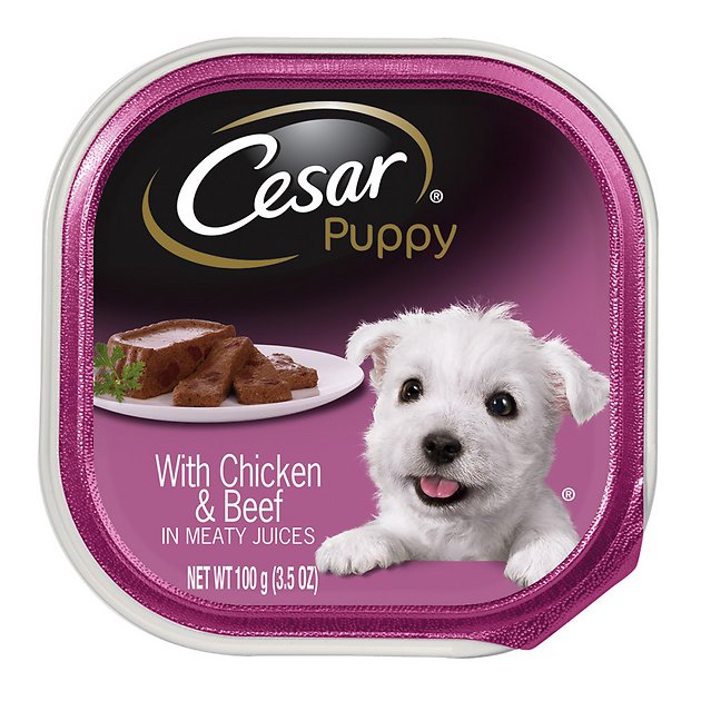 Cesar Puppy with Chicken & Beef Dog Food Trays, 3.5-oz, case of 24