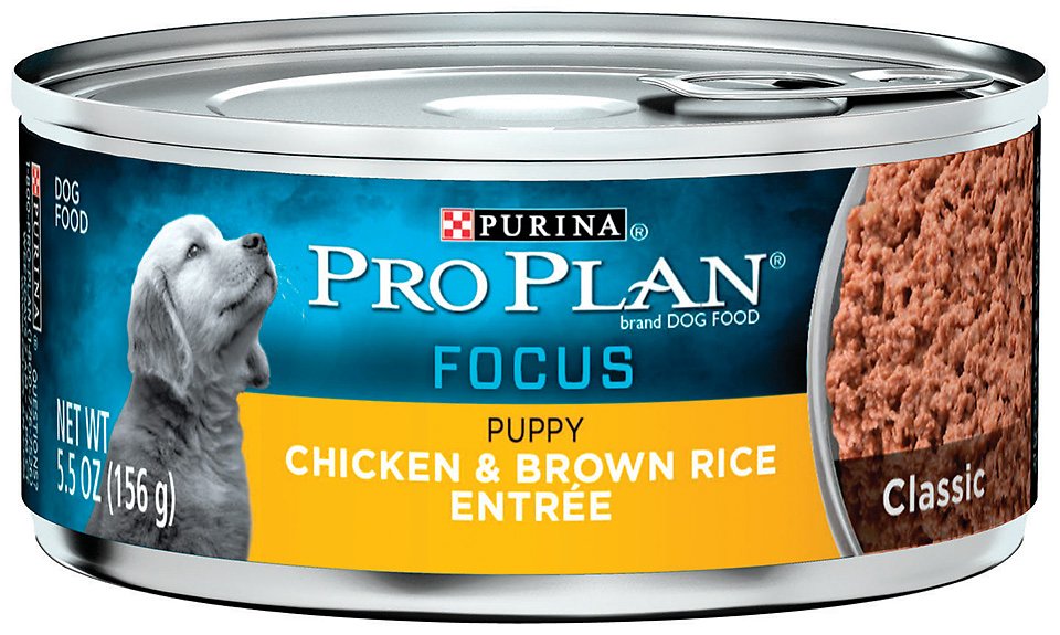 Purina Pro Plan Focus Puppy Classic Chicken & Brown Rice Entree Canned Dog Food, 5.5-oz, case of 24