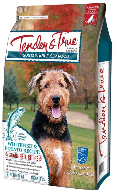 Tender & True Sustainable Seafood Ocean Whitefish & Potato Recipe Grain- Free Dry Dog Food