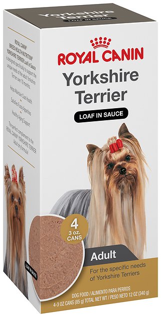 Royal Canin Yorkshire Terrier Adult Canned Dog Food, 3-oz, pack of 4