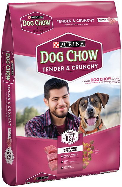 Dog Chow Tender & Crunchy with Real Lamb Dry Dog Food