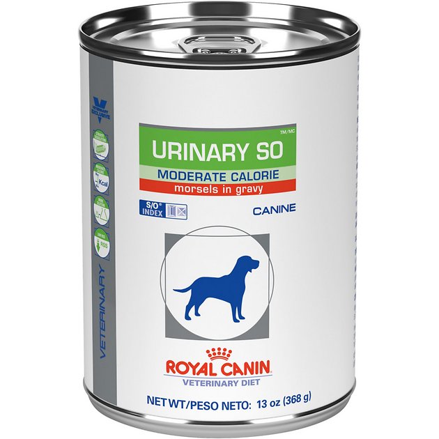 Royal Canin Veterinary Diet Urinary SO Moderate Calorie Morsels in Gravy Canned Dog Food, 13-oz, case of 24