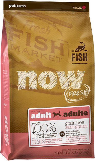 Now Fresh Grain-Free Adult Fish Recipe Dry Dog Food