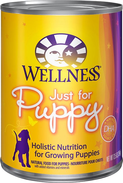 Wellness Complete Health Just for Puppy Canned Dog Food